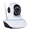 IP Cameras